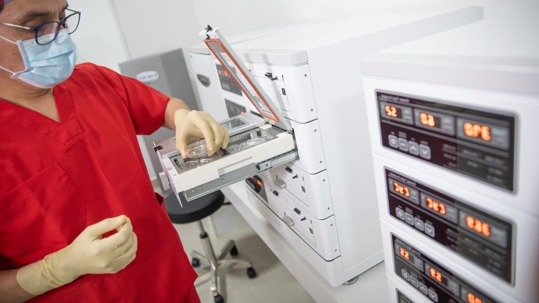 El laboratorio de reproducción asistida