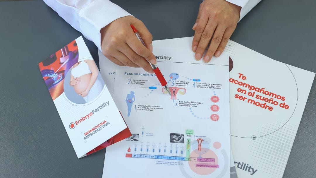 Cómo se realiza la fecundación in vitro