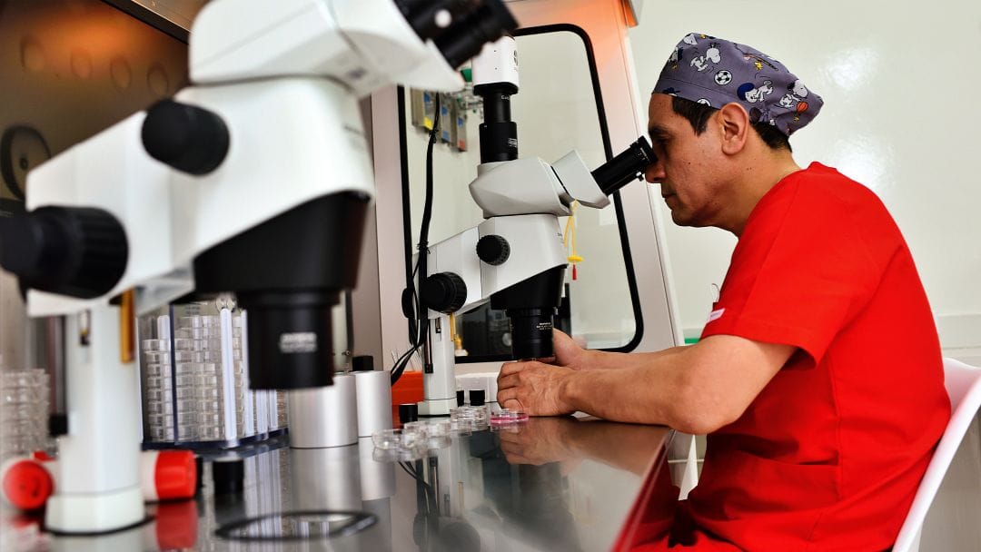 ¿Cuáles son los valores normales de un espermatograma?