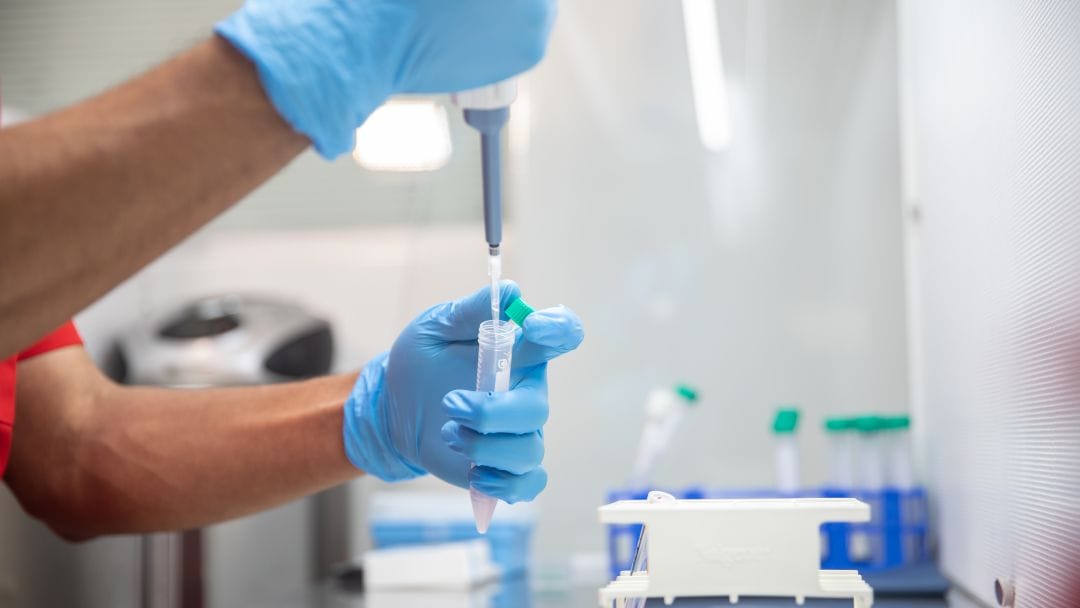 EmbryoFertility Espermatograma