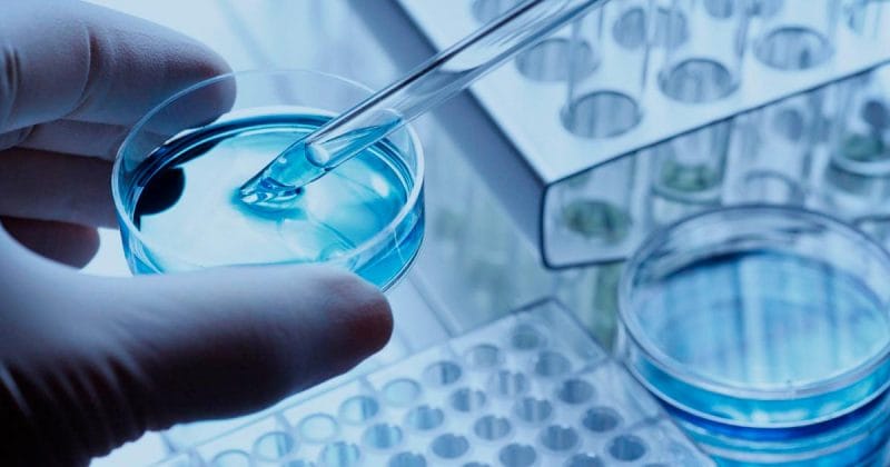 Especialista de laboratorio manipulando placas de cultivo para un tratamiento de reproducción asistida con donación de gametos.
