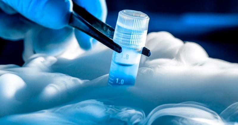 Especialista en fertilidad manipulando una muestra de embriones criopreservados mediante vitrificación en un laboratorio clínico.