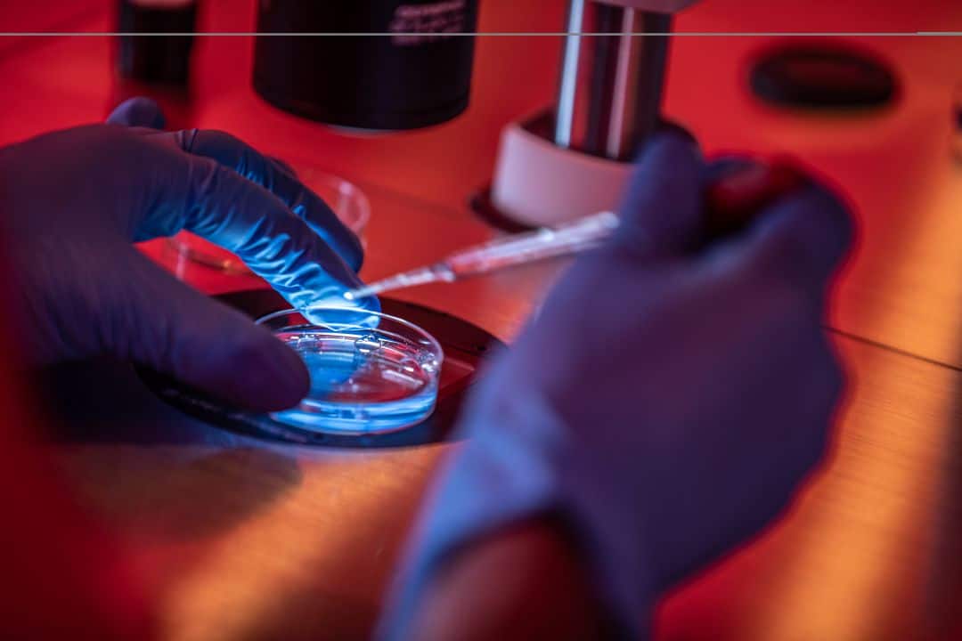 Laboratorio Clínica Fertilidad EmbryoFertility
