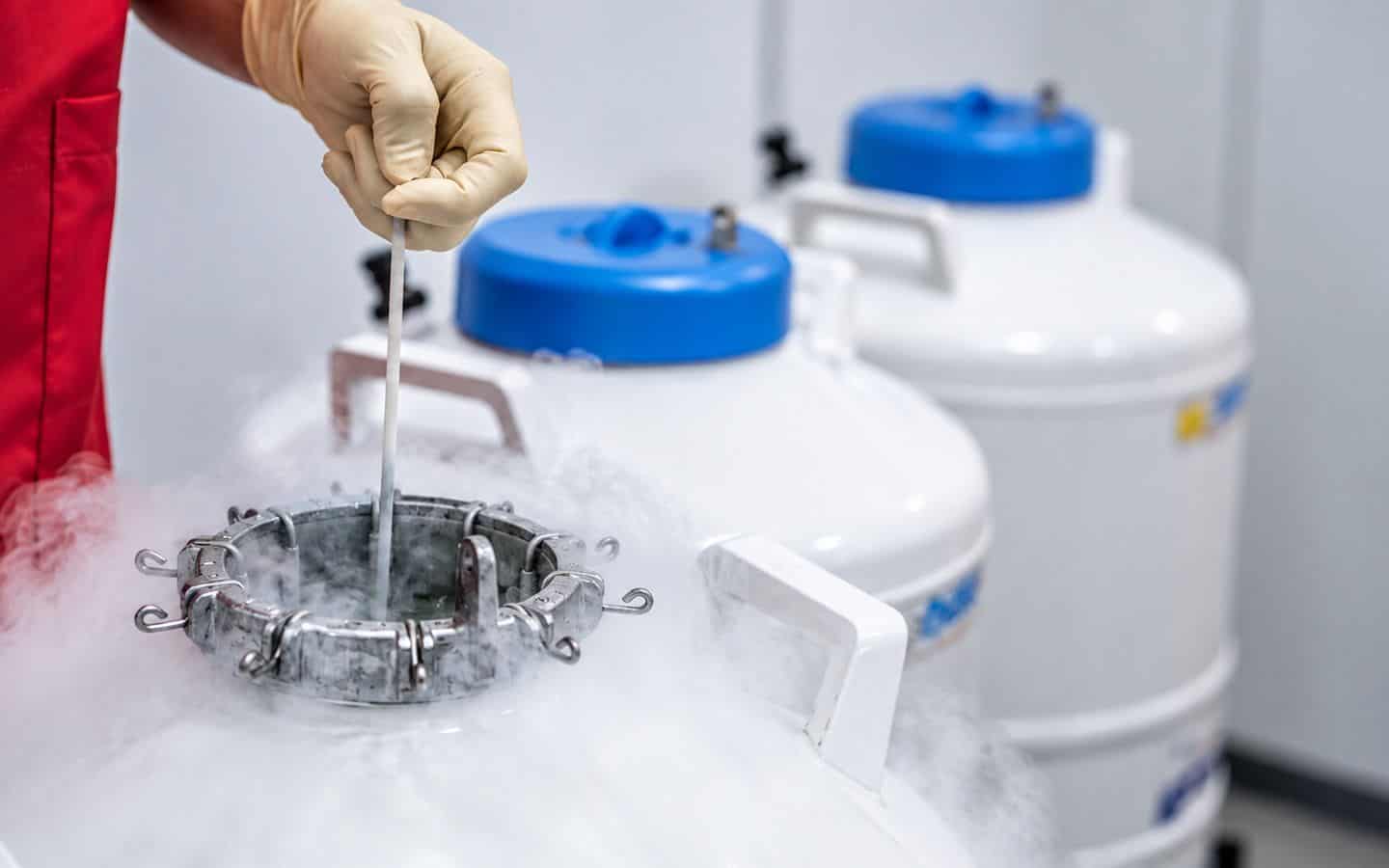 Tanques de nitr&oacute;geno l&iacute;quido para criopreservar &oacute;vulos, espermatozoides y embriones