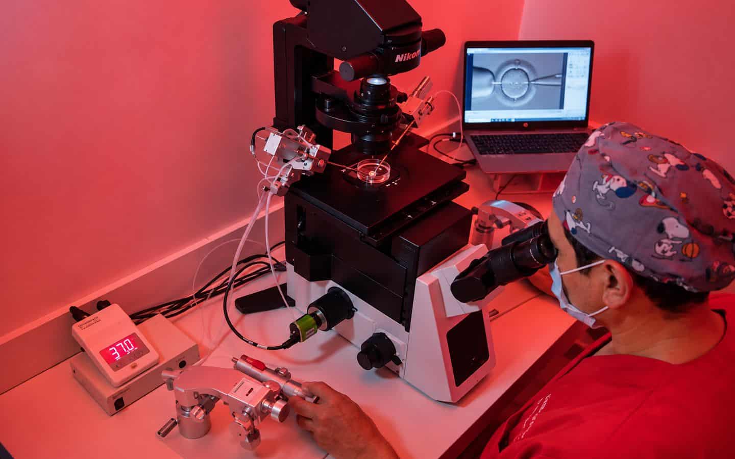 Especialista analizando embriones al microscopio en el laboratorio