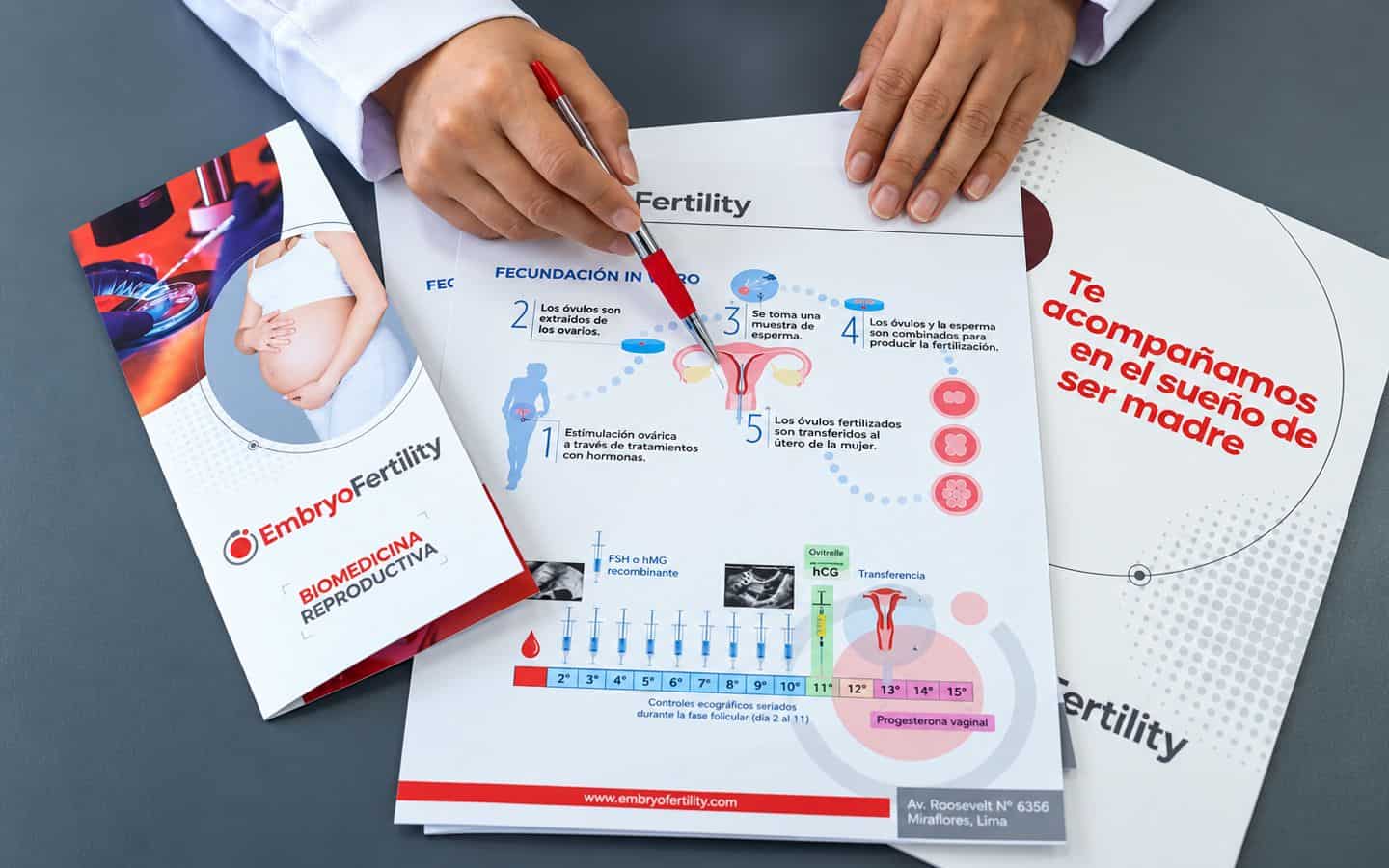 Especialista explicando el proceso de fecundaci&oacute;n in vitro con material informativo de EmbryoFertility